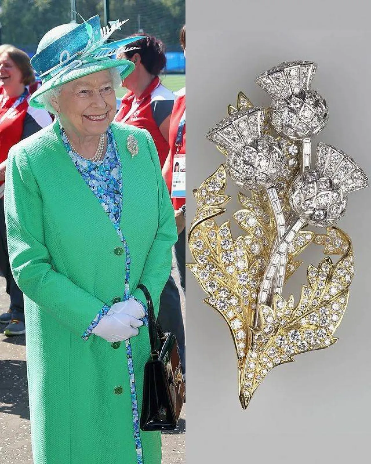 بروش أشواك لأسكتلندا