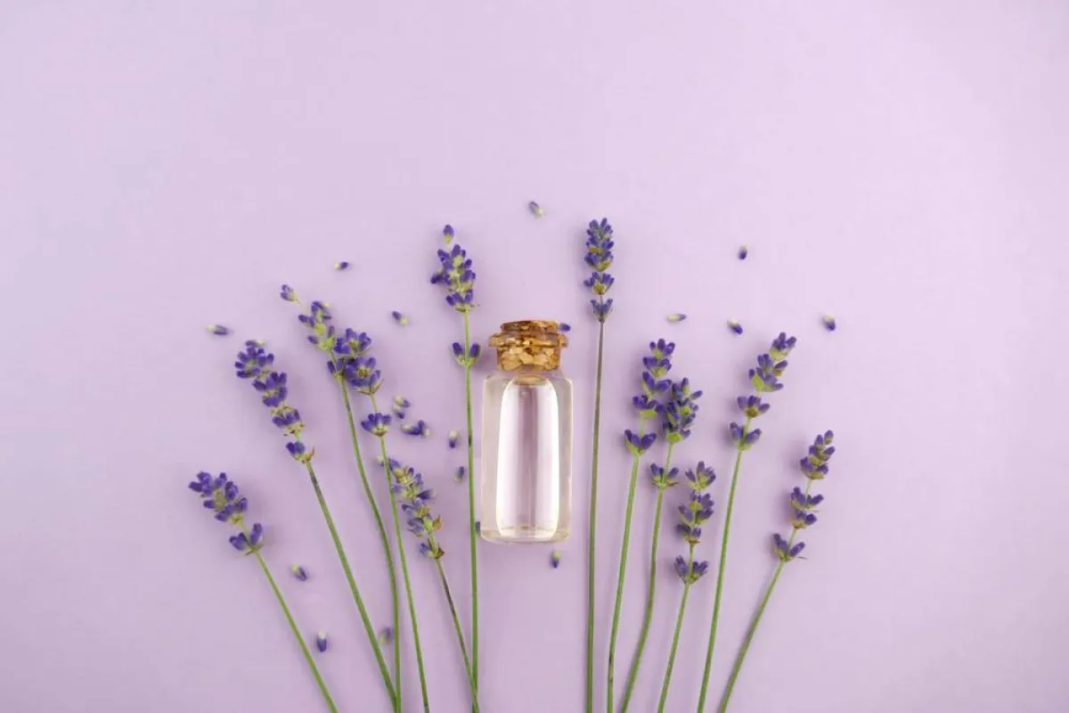 زيت اللافندر