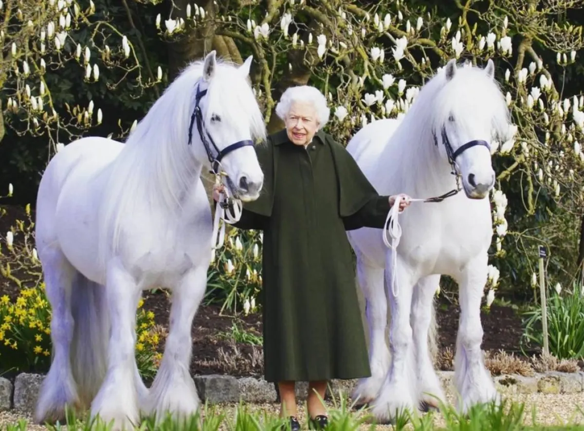 الملكة إليزابيث وحب من نوع خاص للخيول- الصورة من حساب The Royal Family على إنستغرام