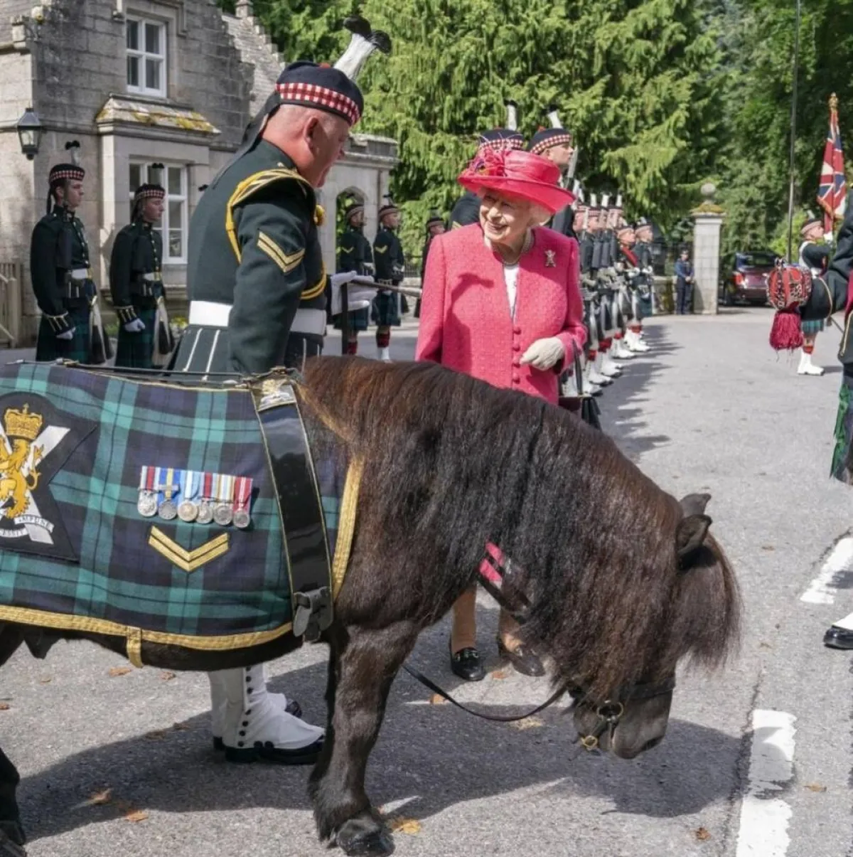 الملكة إليزابيث محبة للخيول- الصورة من حساب The Royal Family على إنستغرام