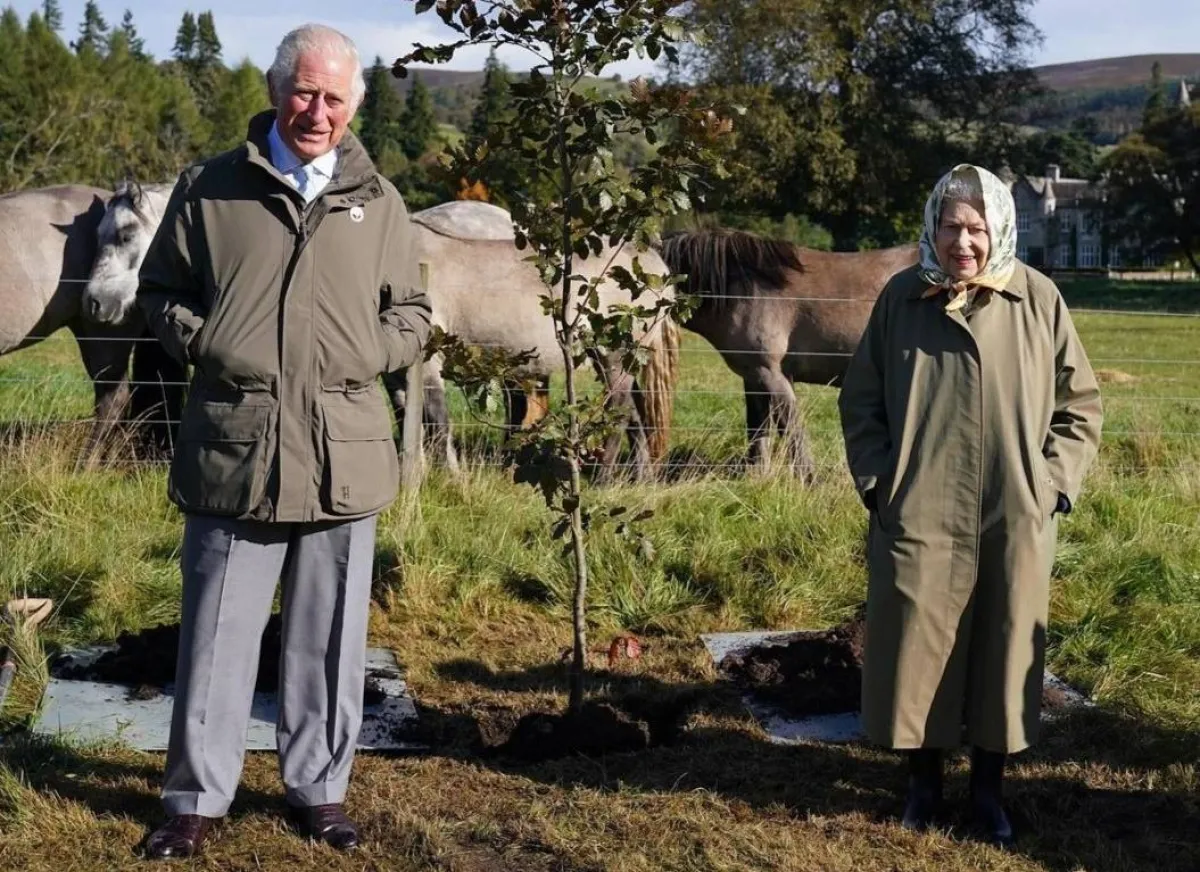 الملكة إليزابيث تجد مع الخيول قضاء وقت فراغها- الصورة من حساب The Royal Family على إنستغرام