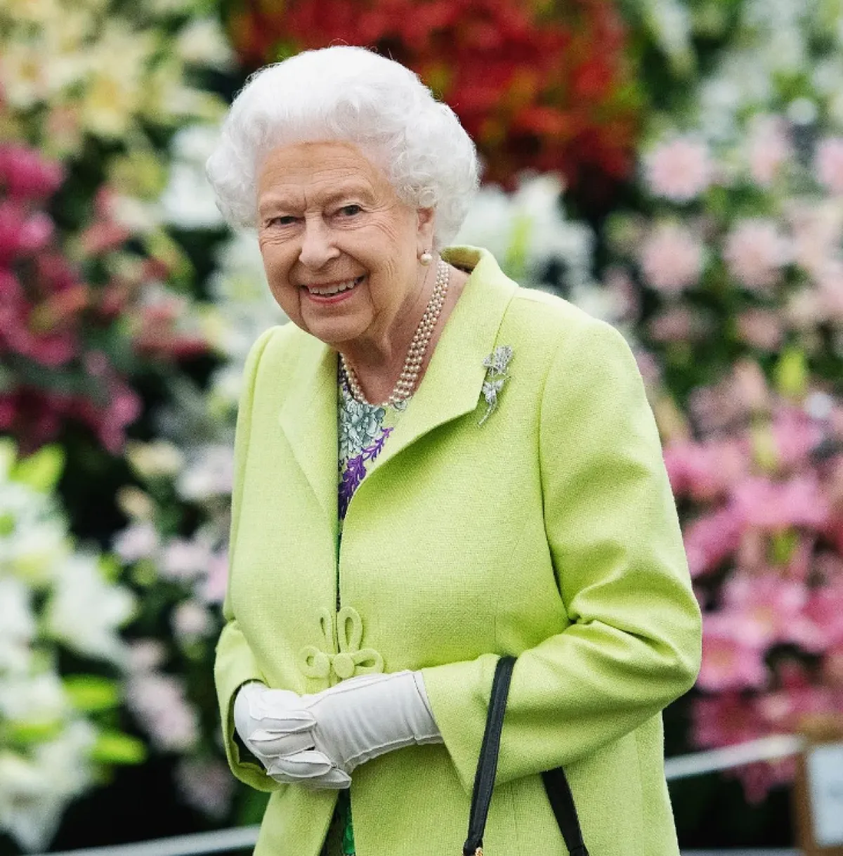 الملكة إليزابيث- الصورة من حساب رويال فاميلي على إنستغرام