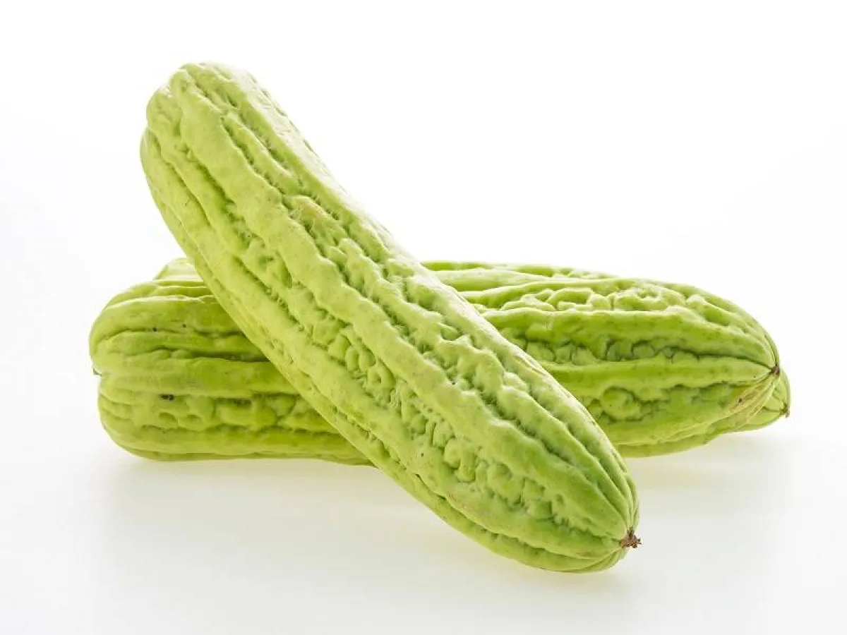 القرع المر يحتوي على مادة الفول نفسها