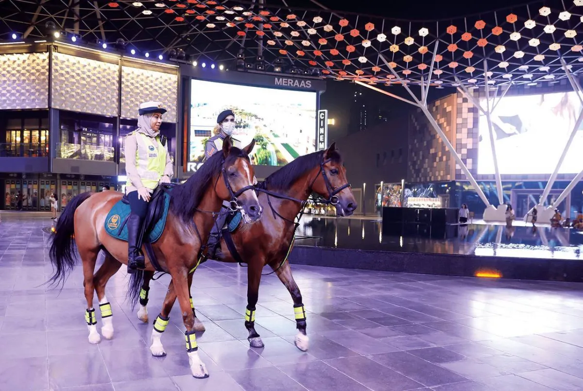 يمتلك المركز 100 خيل مؤهلة ومدربة . الصورة من شرطة دبي
