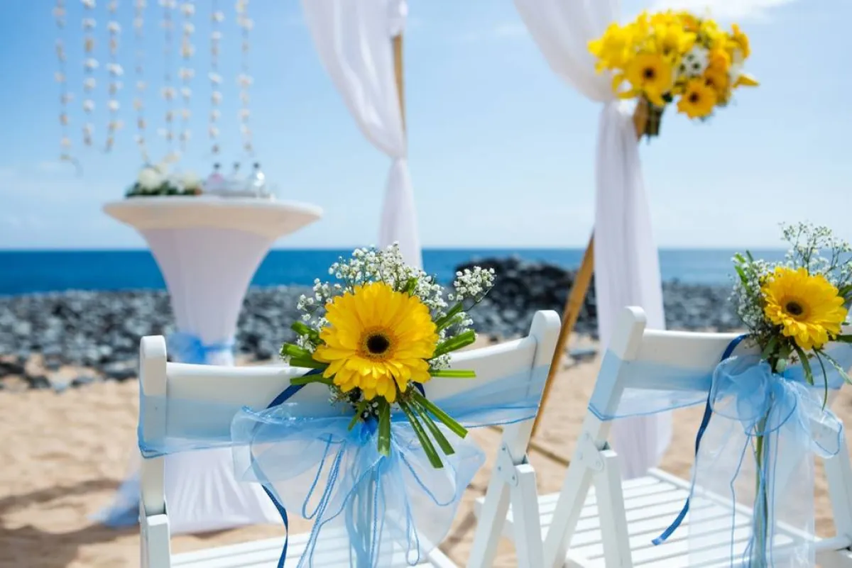 ديكورات حفل الزفاف مزيّنة بوساطة زهور دوار الشمس