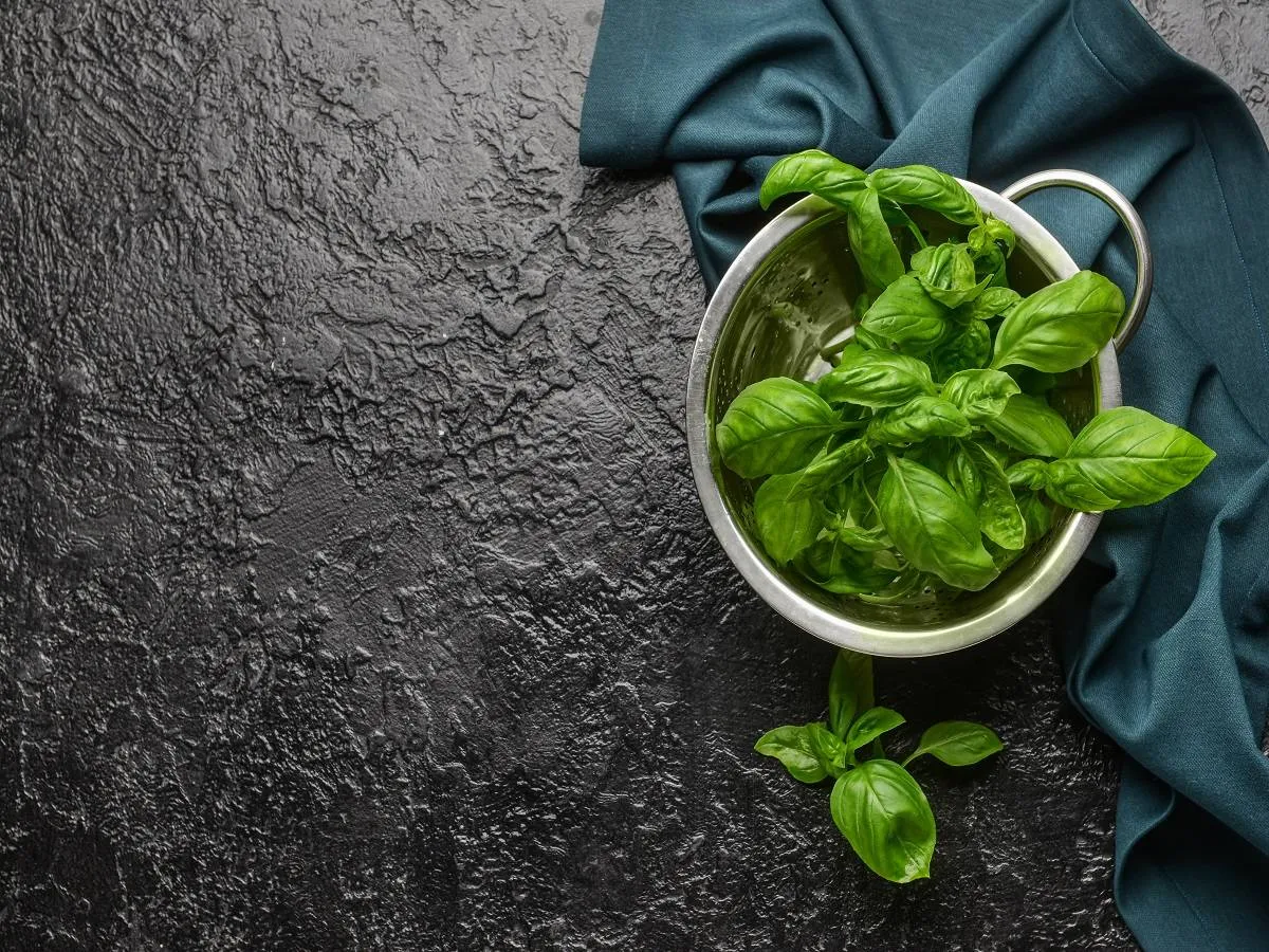 صورة لطبق يحتوي على أوراق الريحان