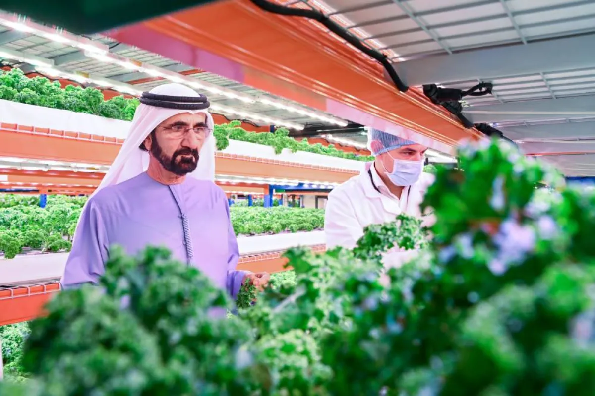 منتجات غذائية بجودة عالية. الصورة من مكتب دبي الإعلامي