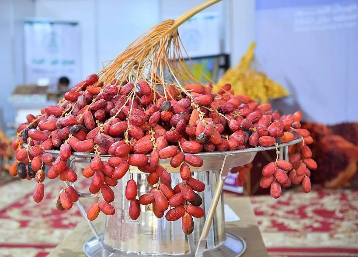 تمر الحلوة. الصورة من "واس"