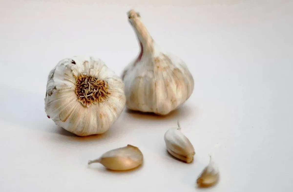 الثوم من الأطعمة الغنية بالكولاجين