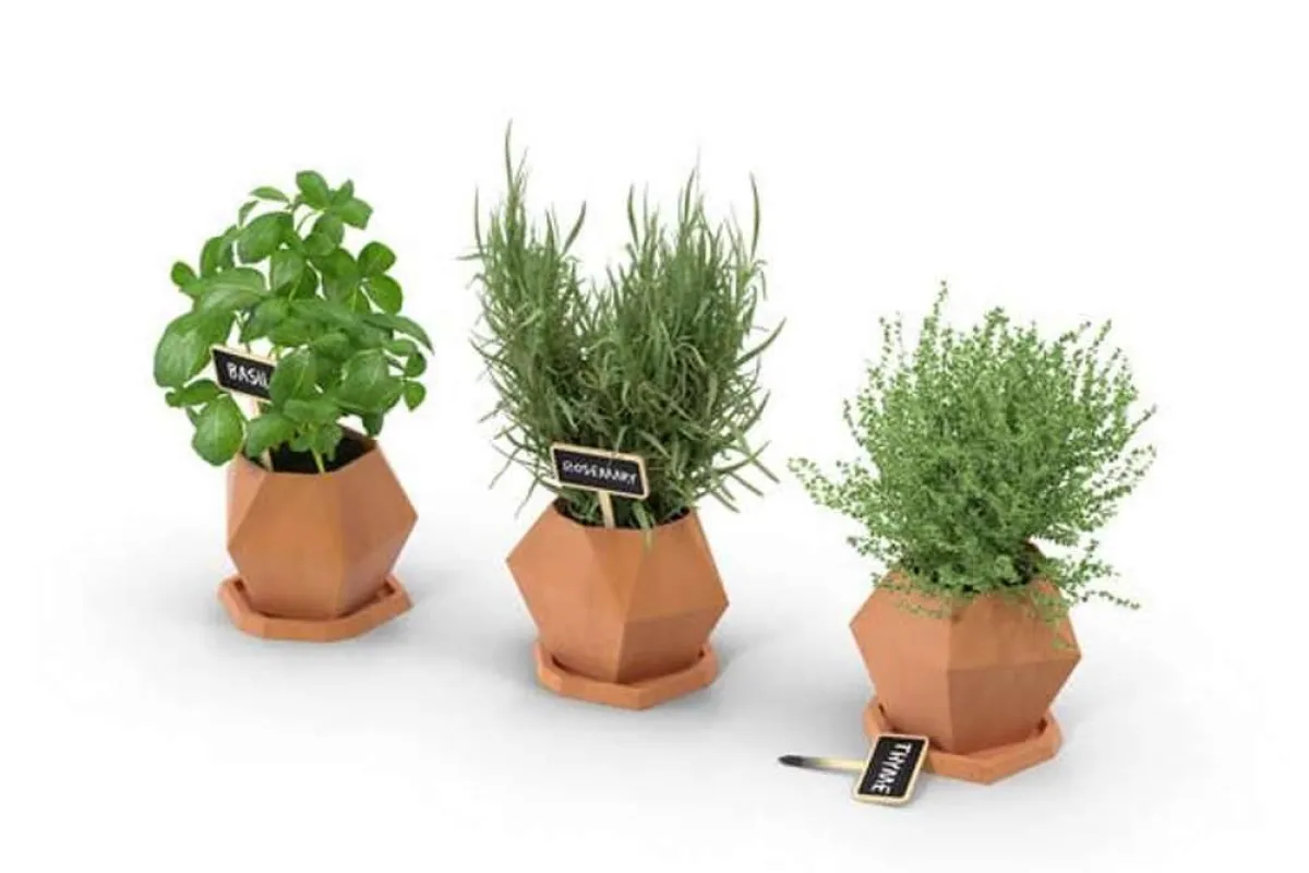 نقص الحديد: عناصر نباتية غنية جداً أدخليها إلى نظامك الغذائي