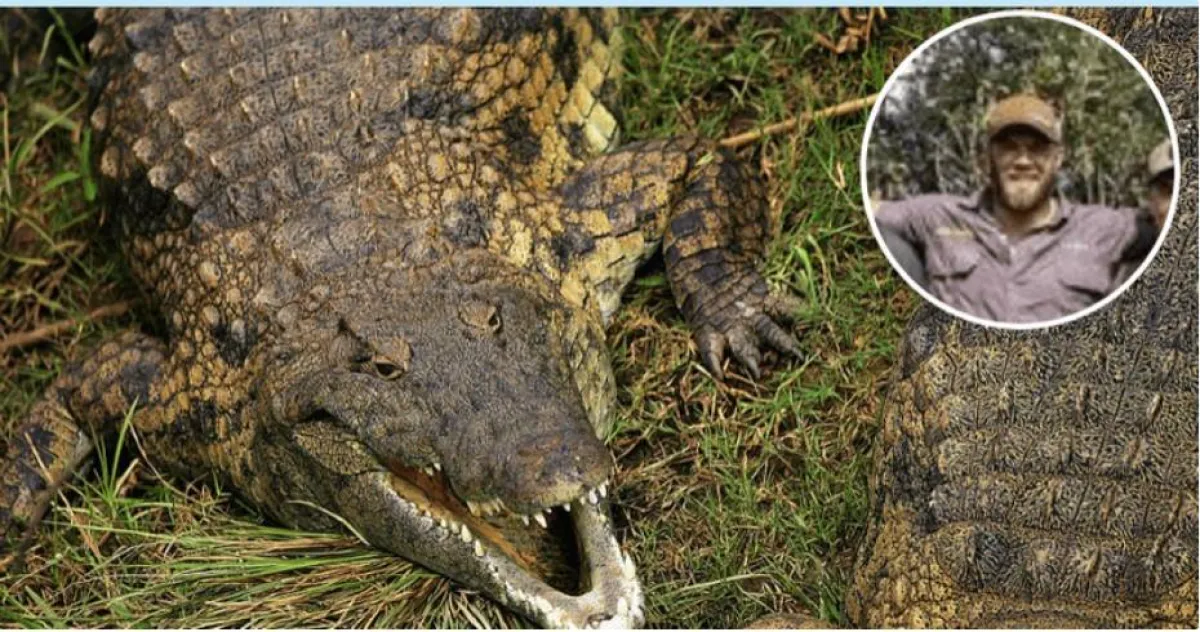 اصطياد تمساح ضخم