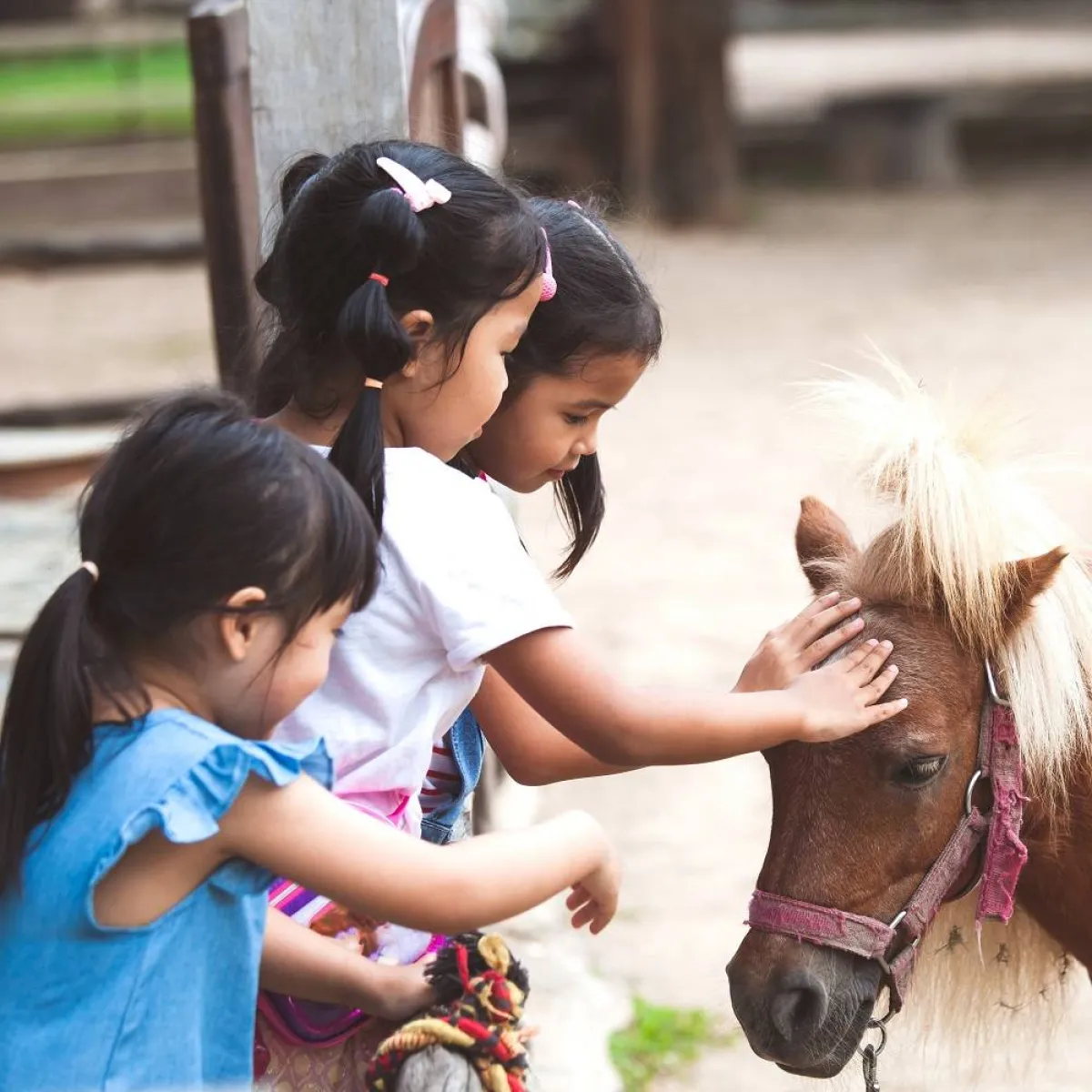 صورة لأطفال وحيوان