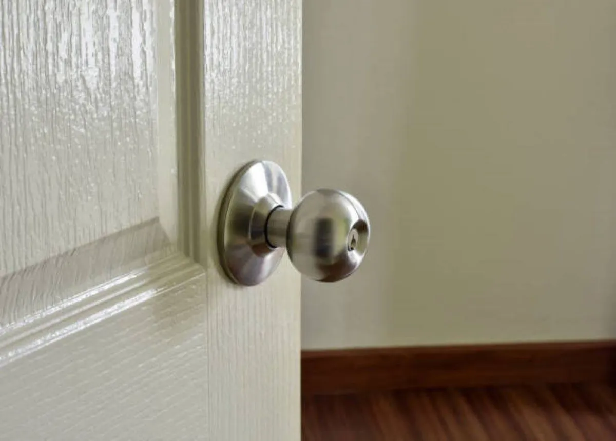 فريق بحث ياباني يفوز بجائزة إيغ نوبل للحماقة العلمية