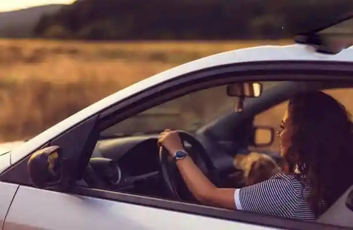 أسباب اهتزاز السيارة عند الوقوف