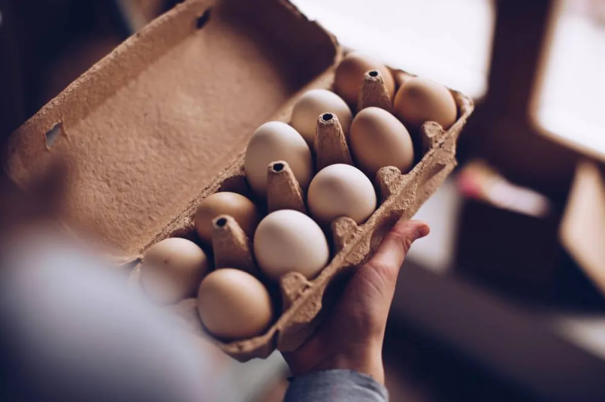 ربات المنزل يتخلّصن من قشر البيض