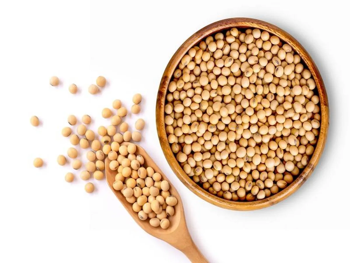 فول الصويا يساعد في الحماية من سرطان الثدي