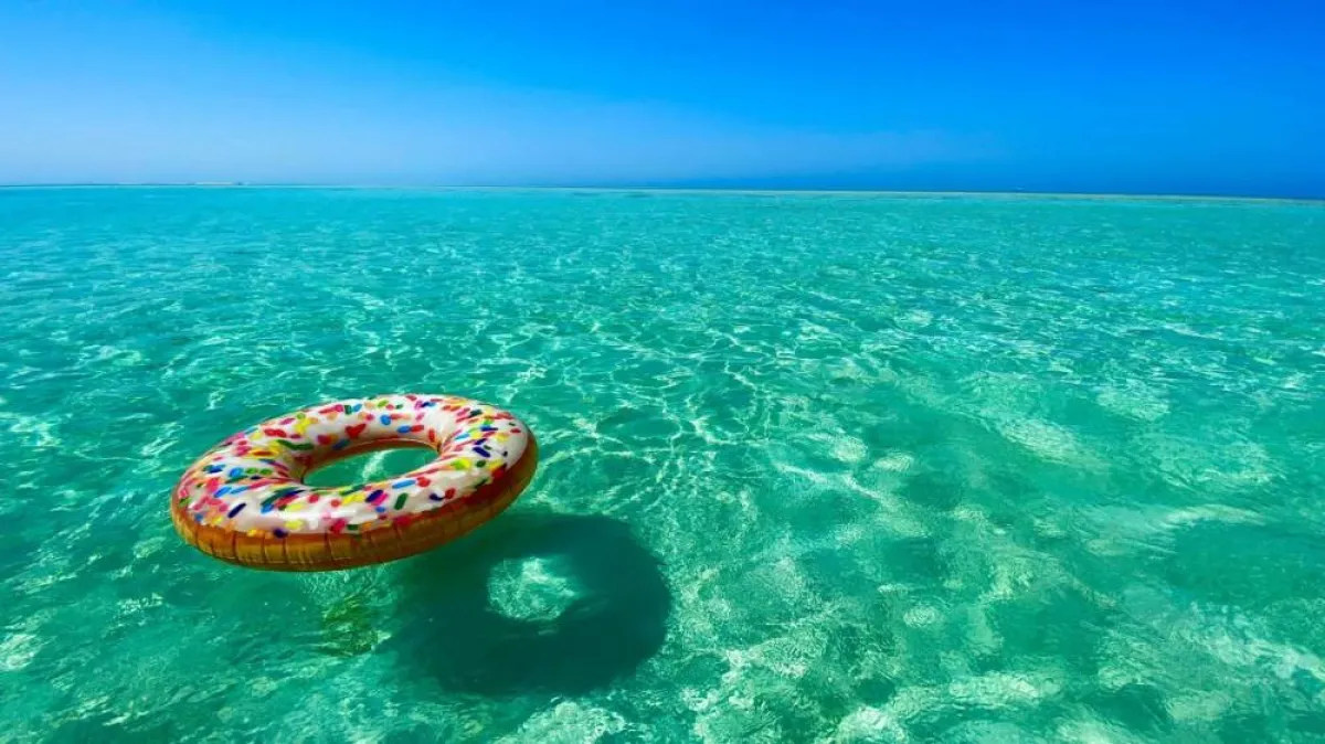 أجمل الأماكن والأنشطة السياحية في أملج - الصورة من موقع waytosaudi