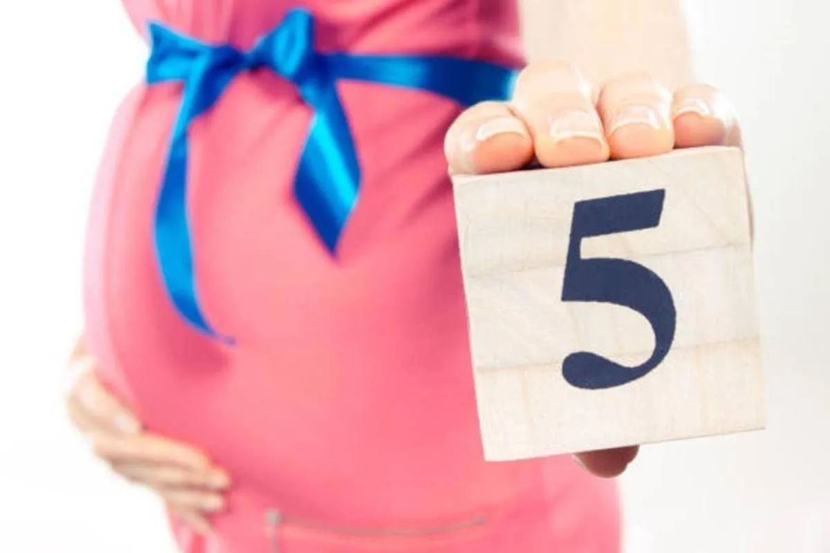 صورة تعبر عن الشهر الخامس من الحمل