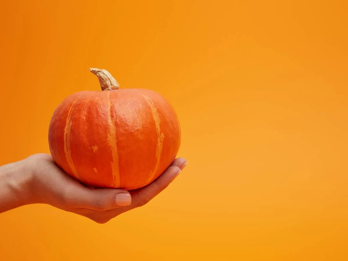 صورة لامرأة حامل تحمل قرع العسل