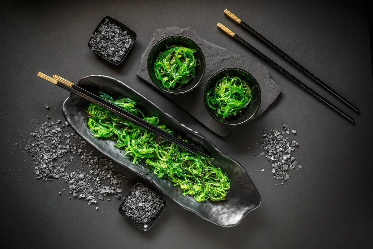 صورة لطحالب البحر