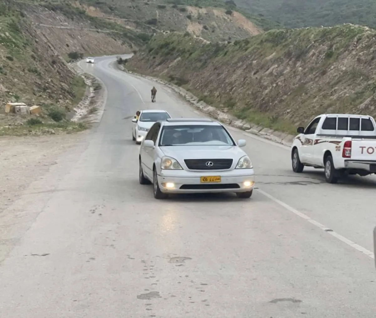 "انعدام الجاذبية”.. ظاهرة غريبة في ظفار العمانية