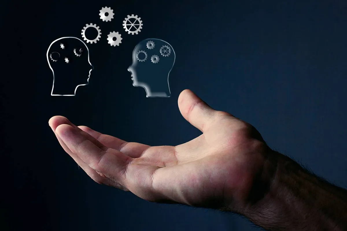 صورة تعبيرية عن المعرفة