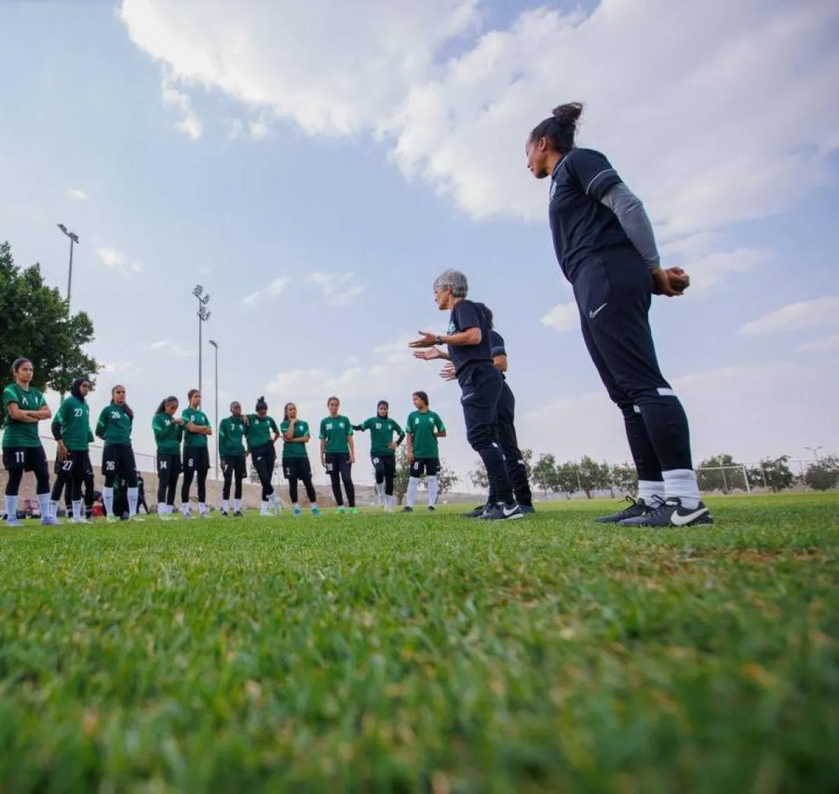 أخضر السيدات