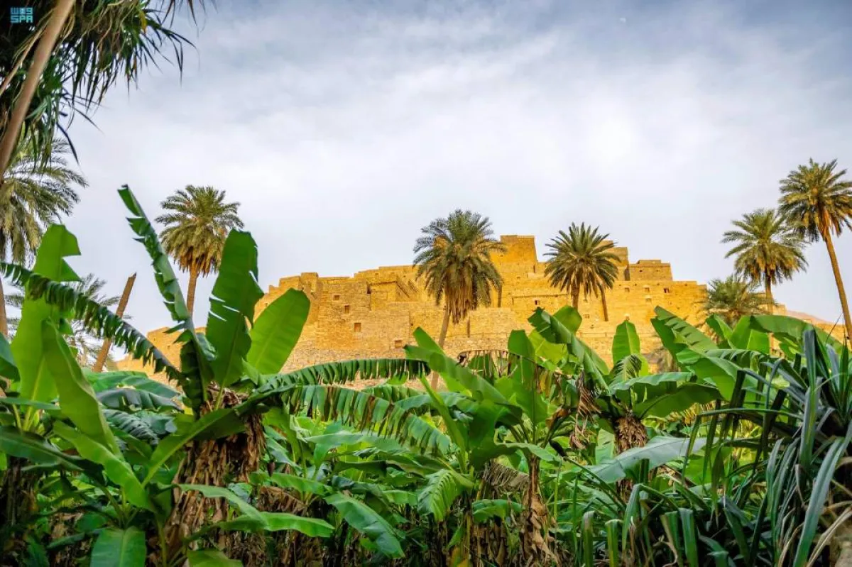 قرى الباحة تحكي مشوار إنجازات المملكة على مدار 92 عاما - الصورة من واس