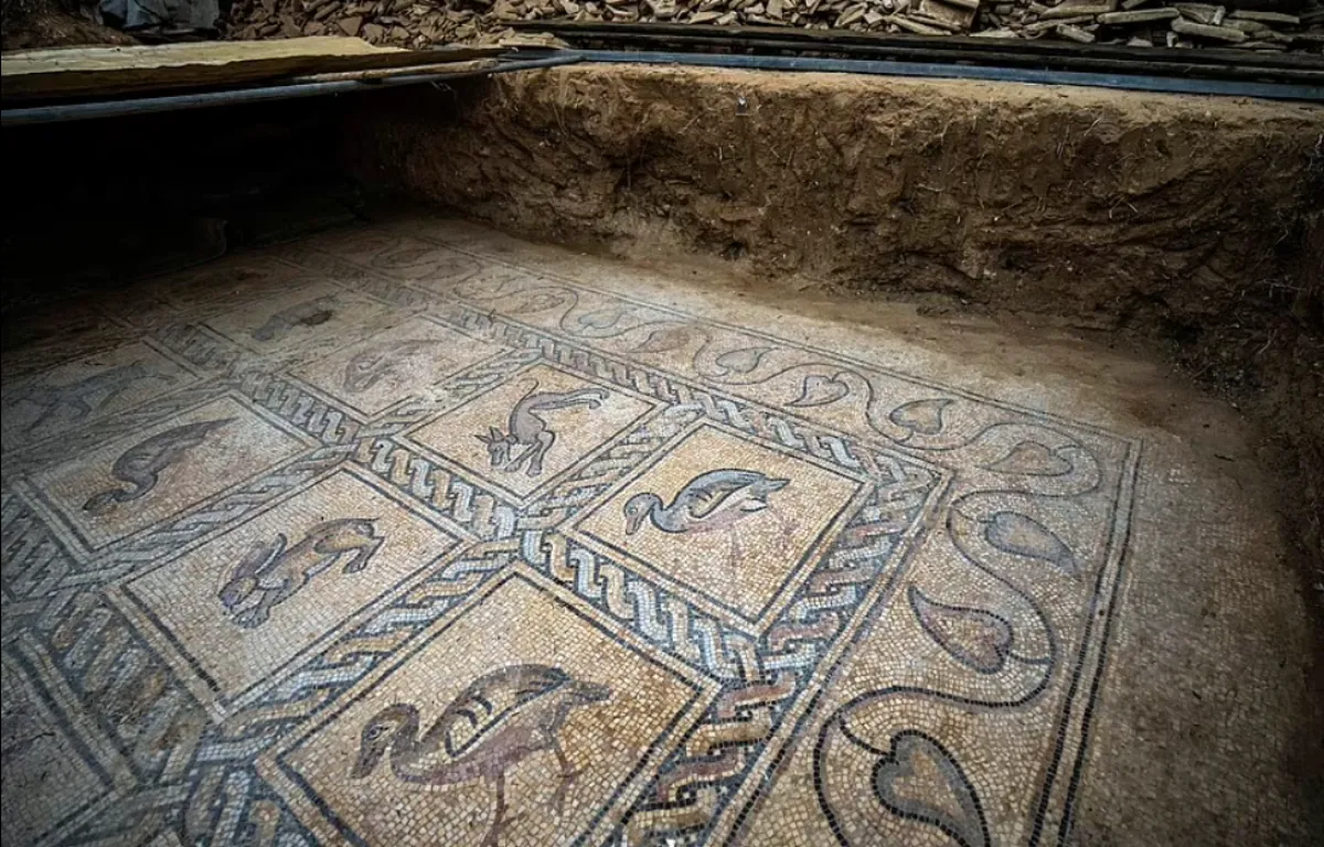 مزارع فلسطيني يكتشف كنزا في بستان الزيتون يعود تاريخه للفترة ما بين القرن الخامس والسابع الميلادي - الصورة من dailymail