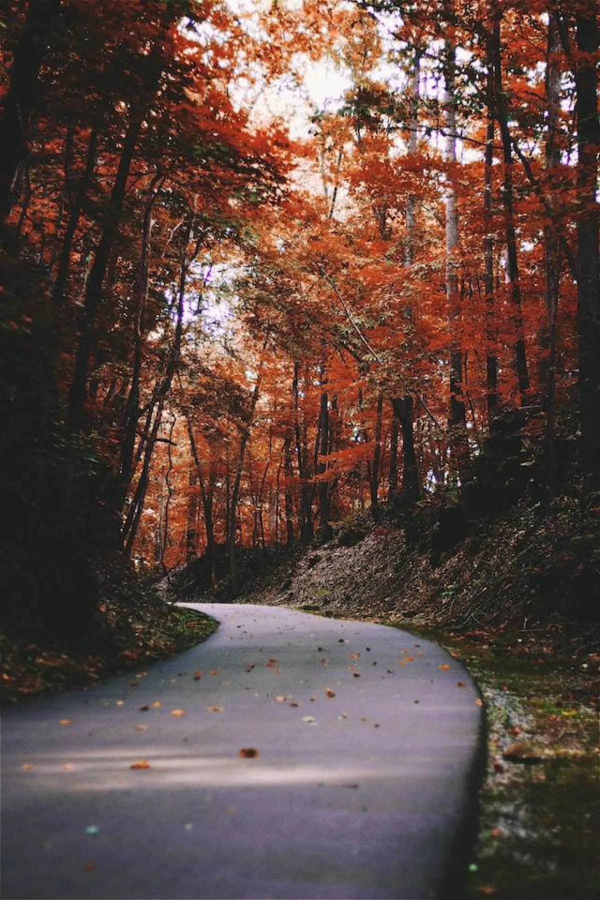 الاعتدال الخريفي