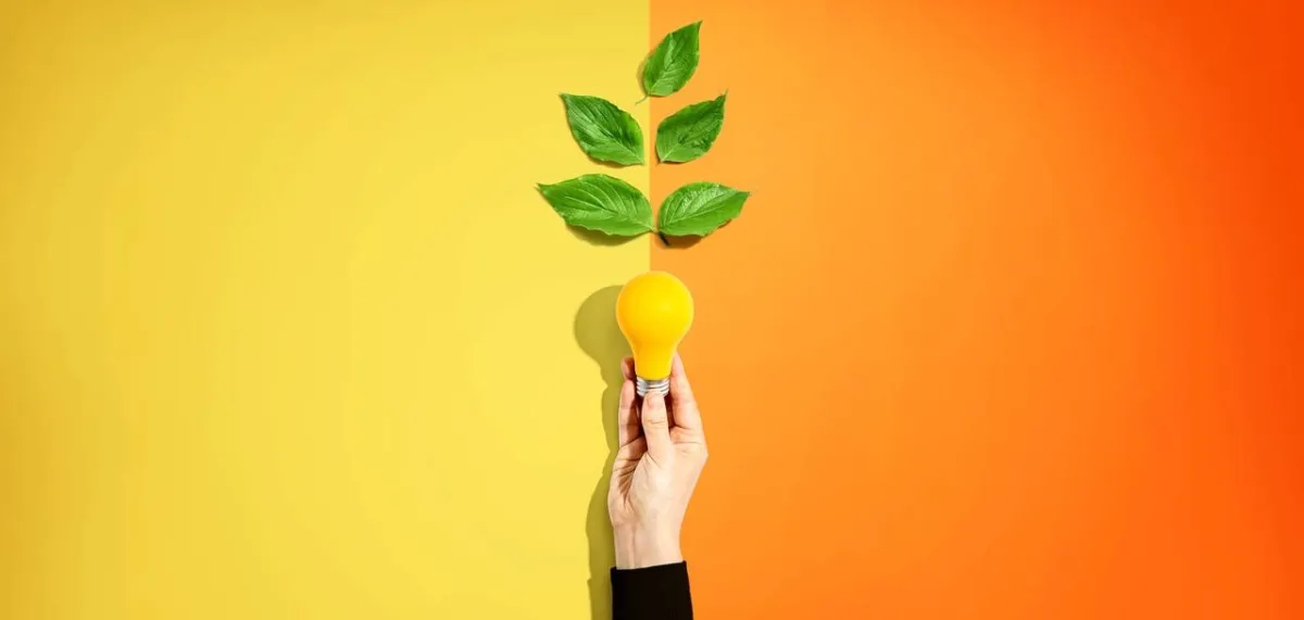 صورة تعبيرية عن فوائد الخضار الورقية