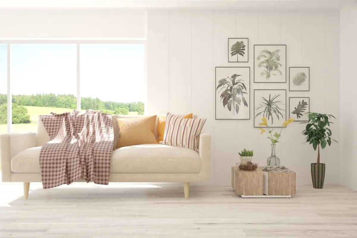 الشتول الضخمة توزّع في زوايا غرف المنزل