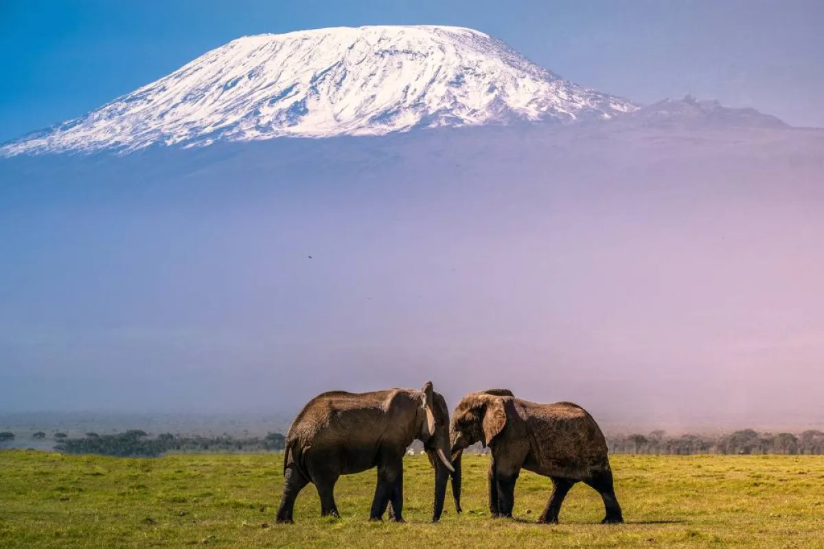 السياحة في كينيا