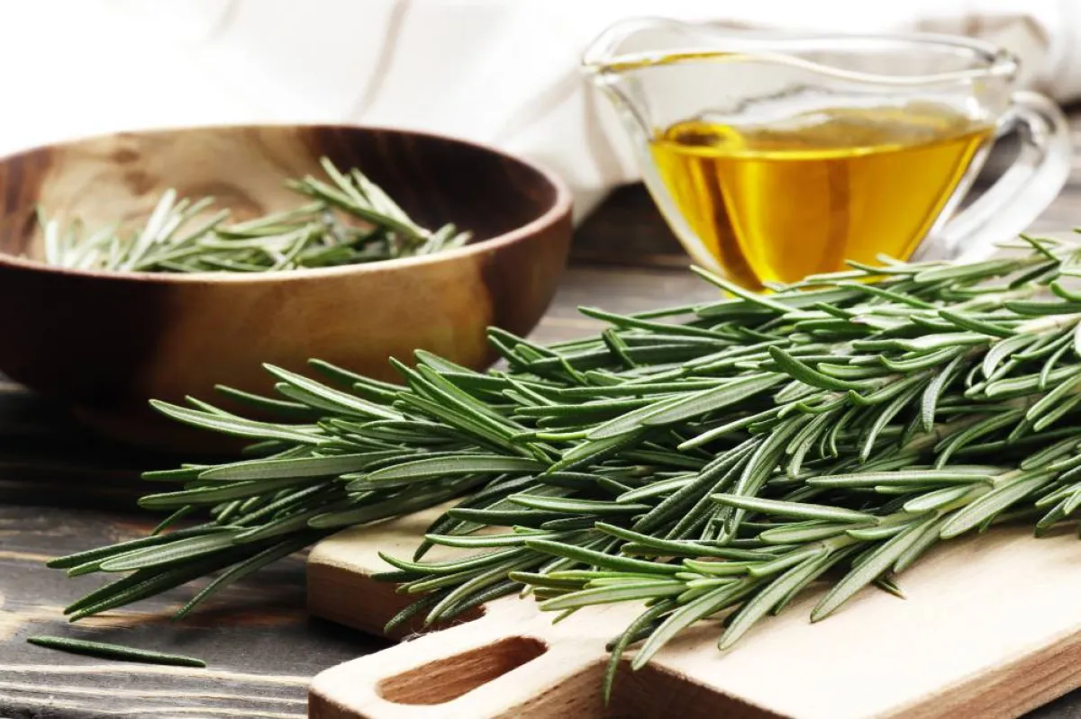 أوراق من إكليل الجبل 