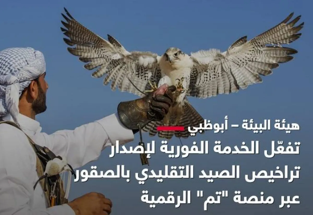 هيئة البيئة في أبوظبي تفعّل الخدمة الفورية لإصدار تراخيص الصيد التقليدي بالصقور. الصورة من مكتب أبوظبي الإعلامي