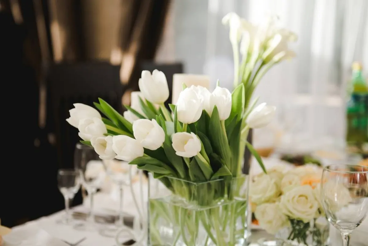 أزهار التوليب