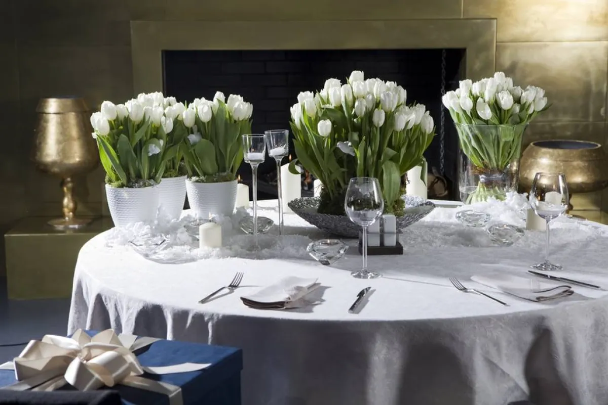 أزهار "التوليب" توزّع في قاعة مقفلة