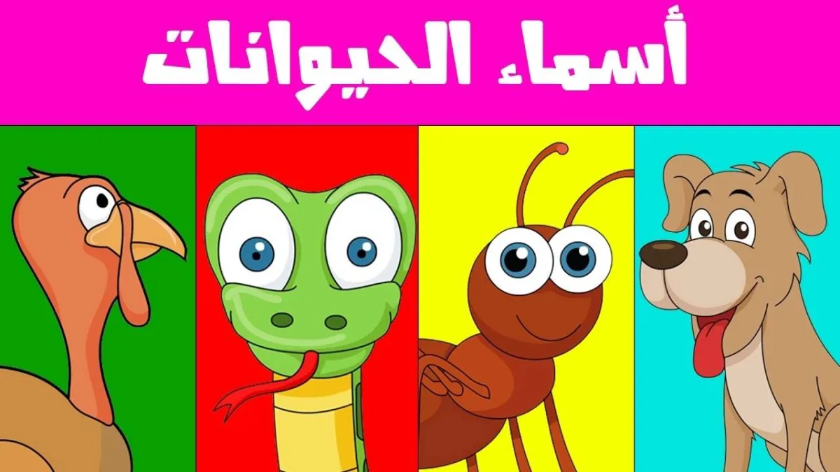 صوة لتطبيق تعليم أسماء الحيوانات