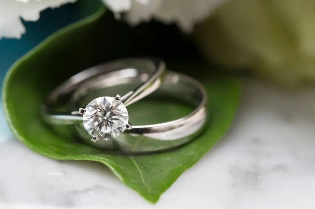 الاستعانة بورق الشجر لتزيين تصميم الشبكة