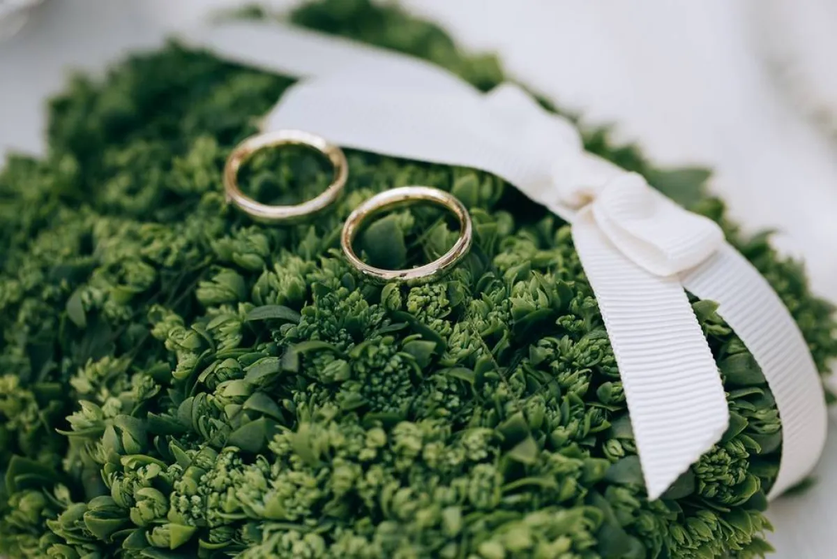 تصميم أخضر اللون لحمل الدبل