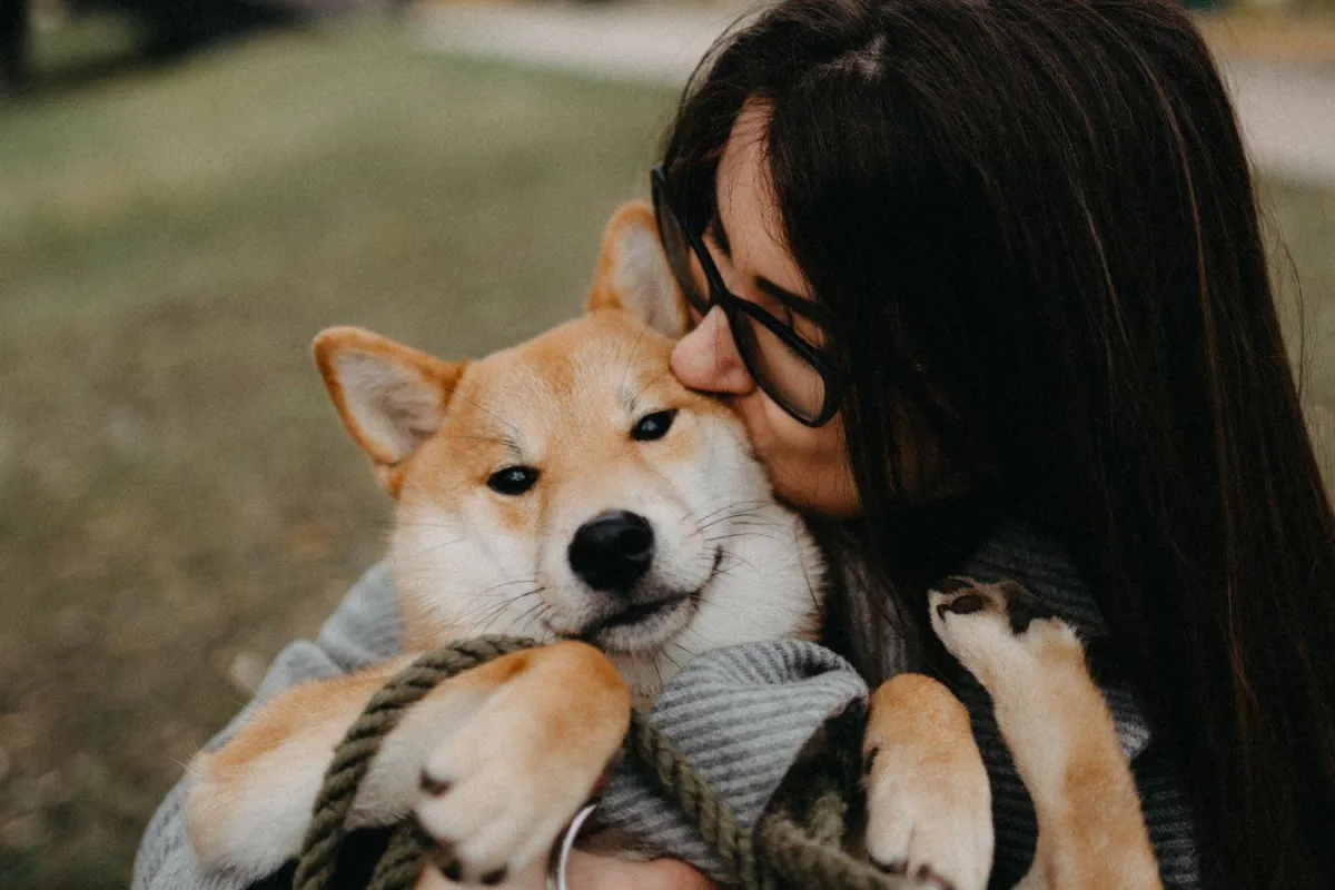ميزة جديدة لصديق الإنسان الوفي.. الكلب