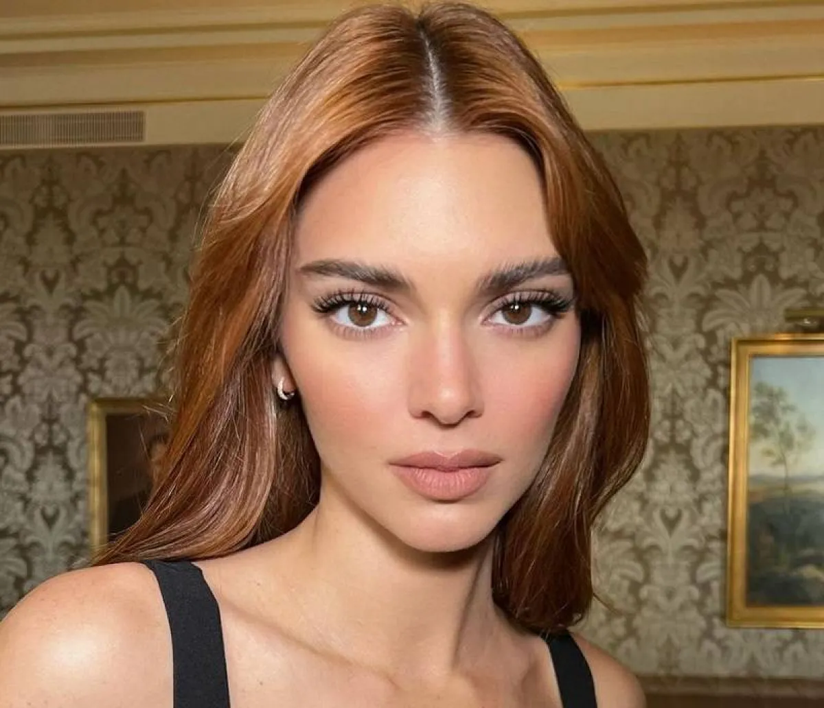 لون شعر بني