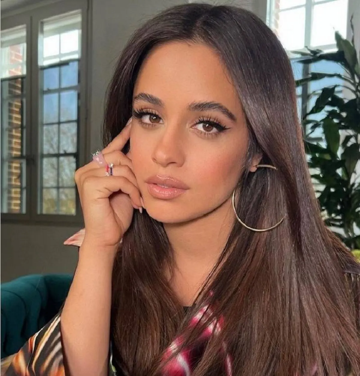 لون شعر بني