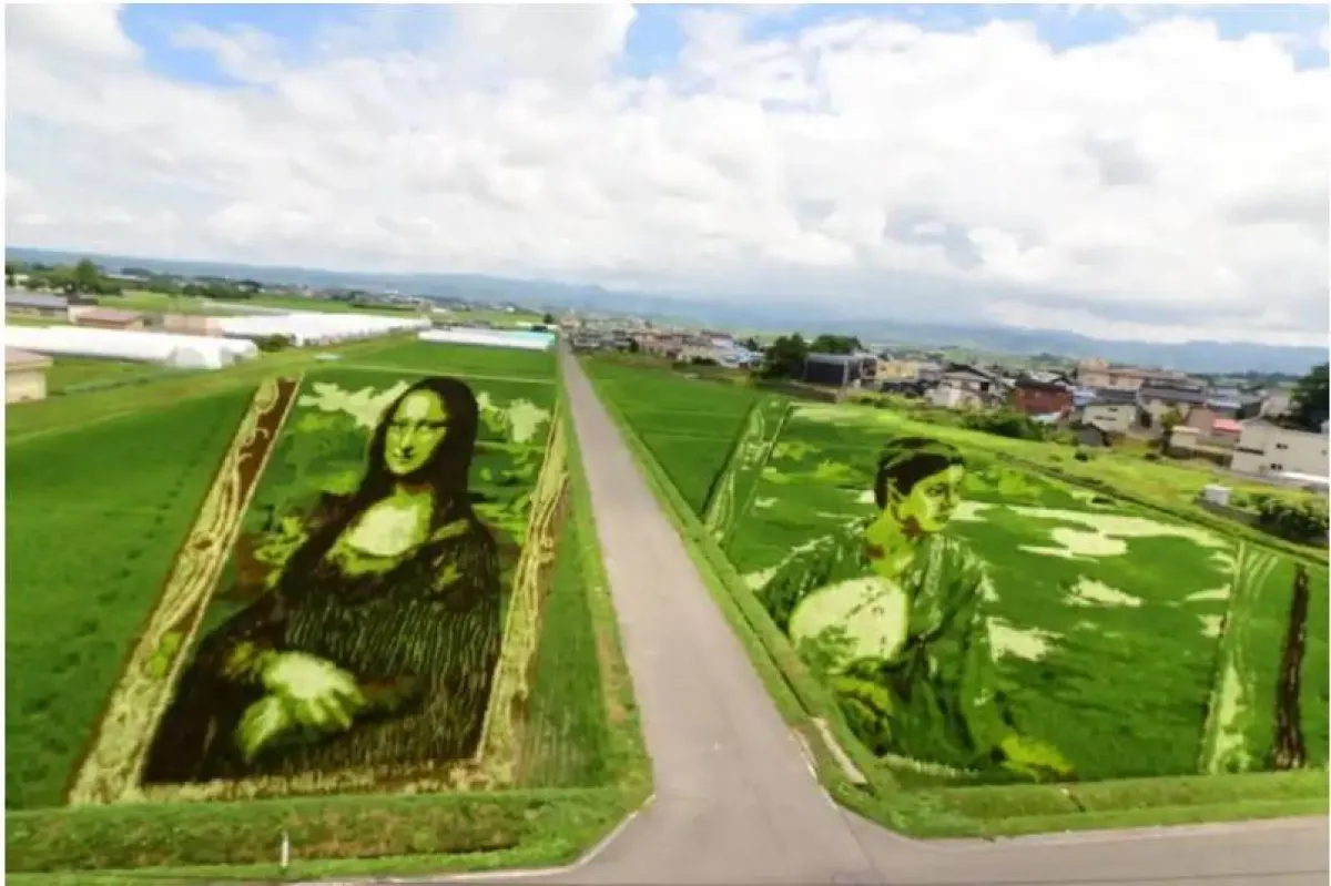 حقول الأرز في اليايان