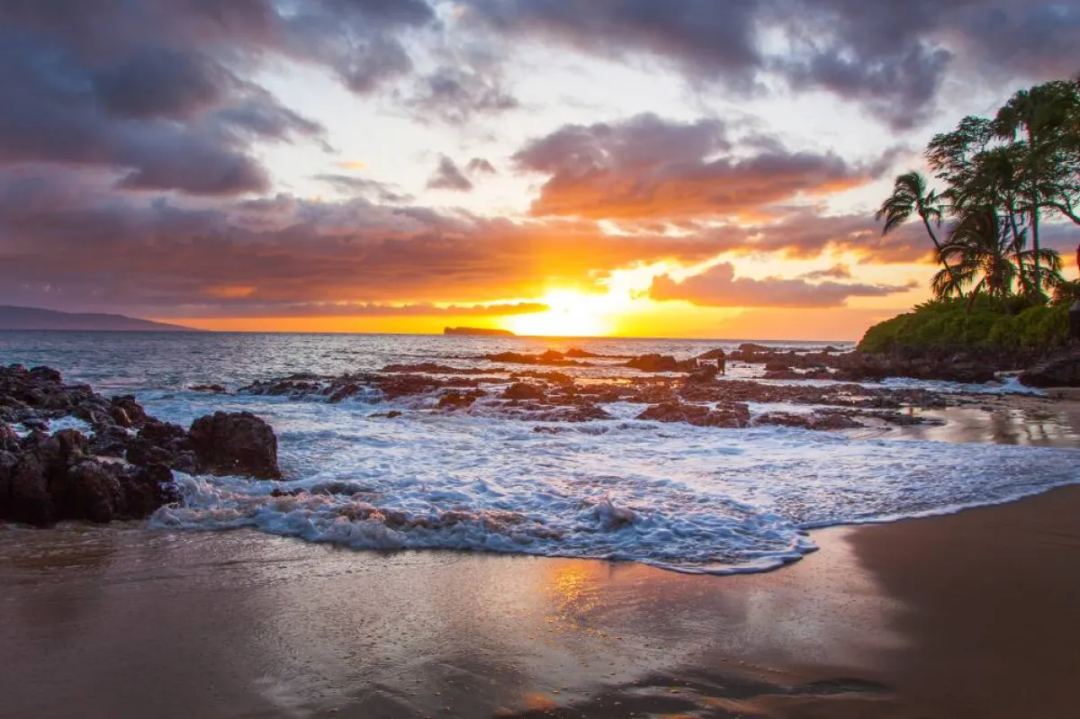 التجول والاستمتاع بالأجواء الخاصة بهاواي