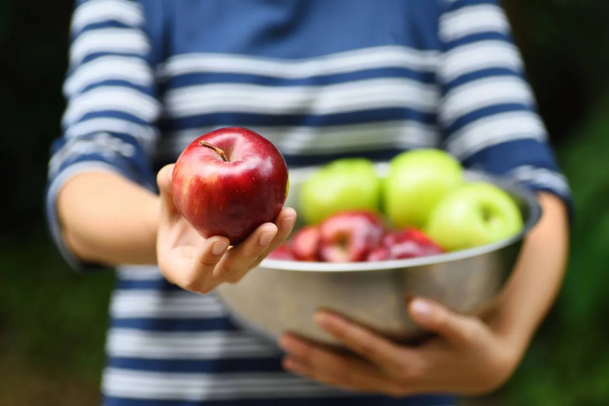 صورة تعبيرية عن العطاء