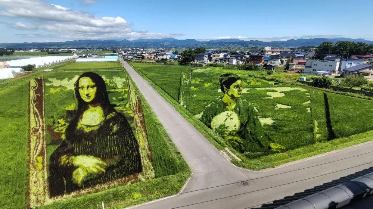 فن حقول الأرز  في اليابان