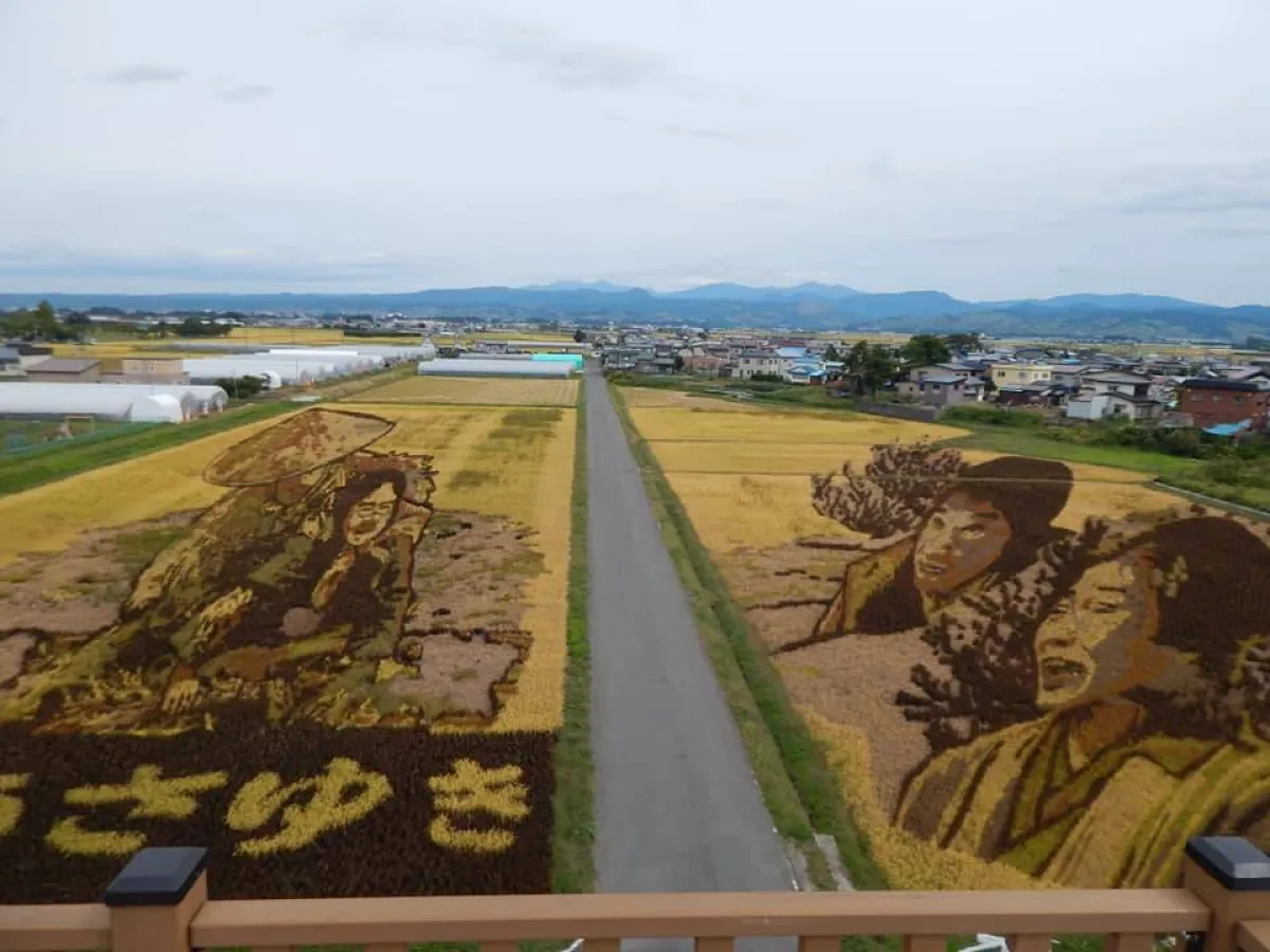 فن حقول الأرز  في اليابان