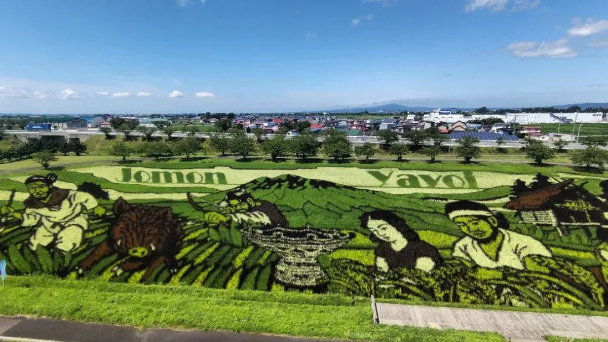 فن حقول الأرز  في اليابان