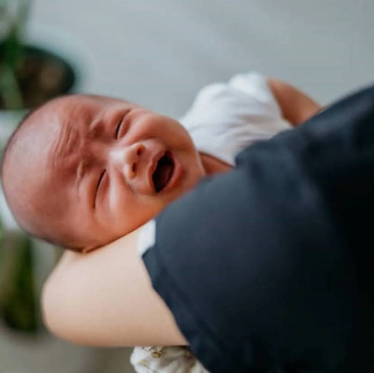 صورة لطفل رضيع